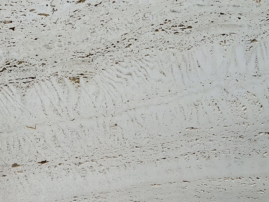 Super White Travertine Unfilled 02.jpg Super White Travertine Unfilled 02.jpg