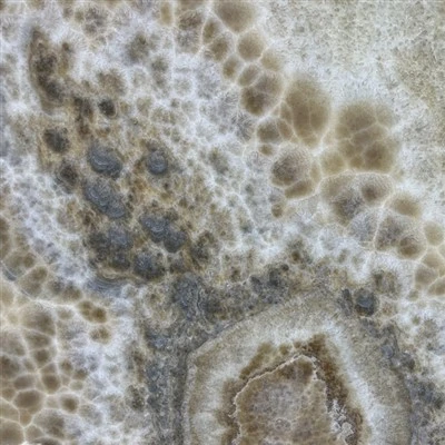 Buborék Onyx